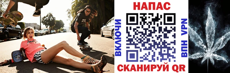 Каннабис индика Куровское